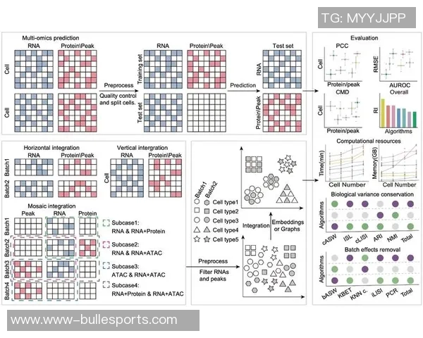 聚焦DOTA2BLG选手个人能力分析与团队协作的深度探讨 聚焦DOTA2BLG选手个人能力分析与团队协作的深度探讨